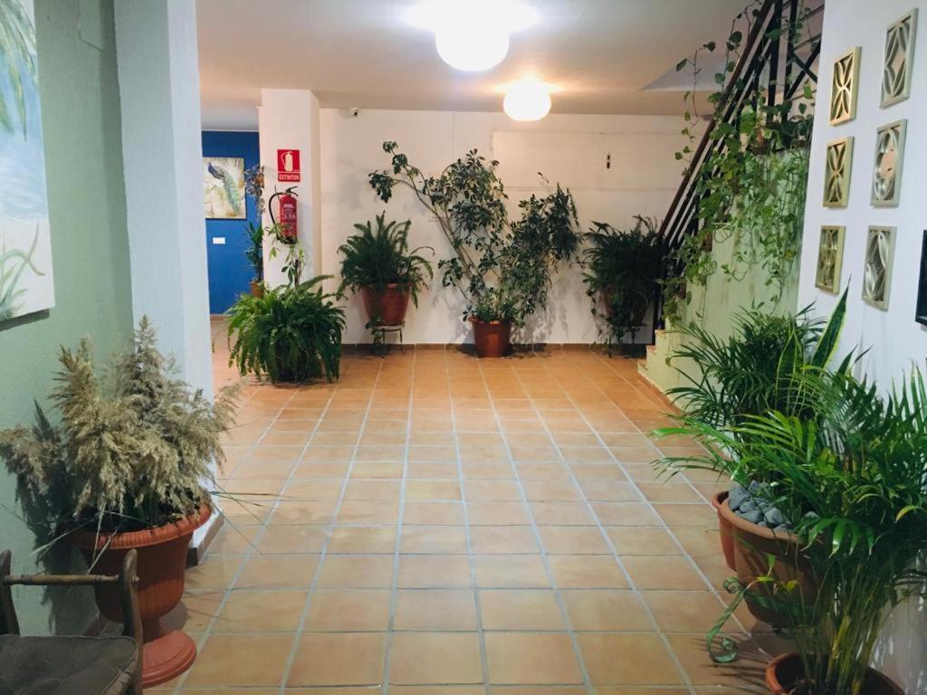 Manilva Playa公寓 外观 照片