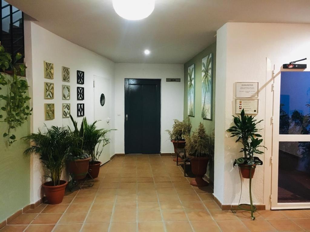 Manilva Playa公寓 外观 照片